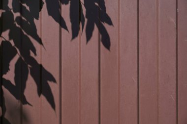 Demir bir çitin üzerindeki yaprakların koyu gölgesi. Dengesiz demir zemin. Metin için boşluk.