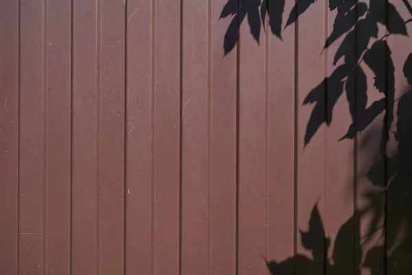鉄の柵の上に葉の暗い影。中性不均一な鉄の背景。テキストのスペース. — ストック写真
