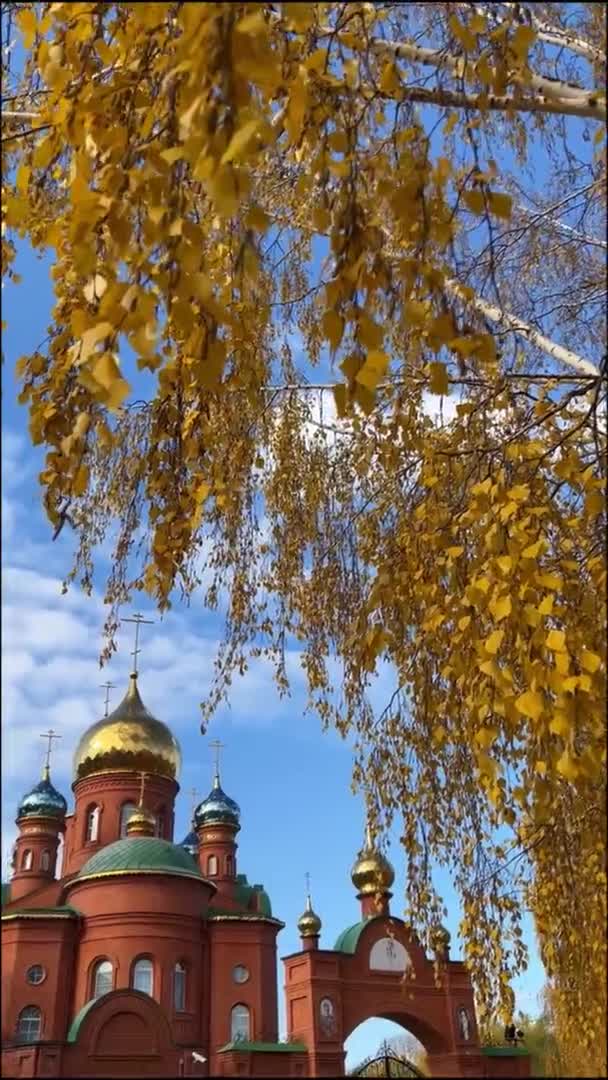 Takken met berkenbladeren wapperen in een lichte wind tegen de achtergrond van een Russisch-christelijke kerk met gouden koepels — Stockvideo