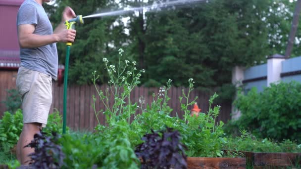 A man is watering plants in the garden at sunset. Gardening and hobby concept — Stock video