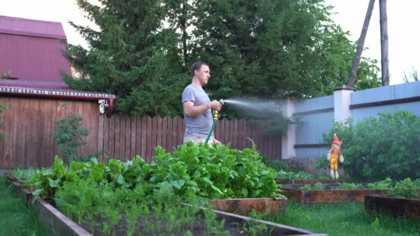 Muž pod tlakem rozstřikuje vodný roztok na květinové záhony s rostlinami. Zahradní koncept — Stock video