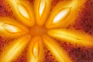 Parlak bir merkezi olan taze olgun bir hurma ağacının yakın çekimi. Tam alan derinliği. Meyvenin ortasında parlak bir ışık.