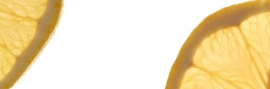 İzole edilmiş beyaz arka planda iki dilim limon. Şeffaf limon dokusu. Taze sulu bir limonun makro ayrıntıları.
