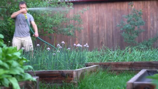 Člověk rozstřikuje vodný roztok pod tlakem na záhonek rostlin v zahradě. Zahradní koncept — Stock video