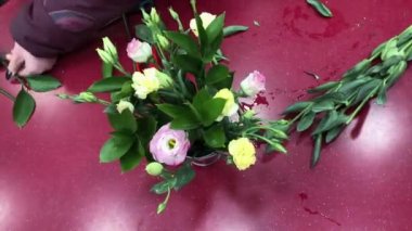 Dişi bir çiçekçi farklı çiçeklerden bir kompozisyon toplamaya başlar. Buket üretimi, çiçek atölyesi. Çalışma sürecindeki insanlar.