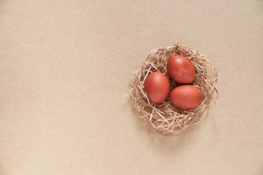 Paskalya yumurtaları, bej arka planda bir yuvada. Minimum konsept. Üst Manzara. Kopyalamak için boşluk