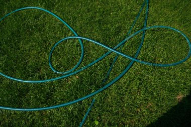 Yeşil çimlerin üzerinde yeşil bir hortum var. Çiçekleri sulamak için.