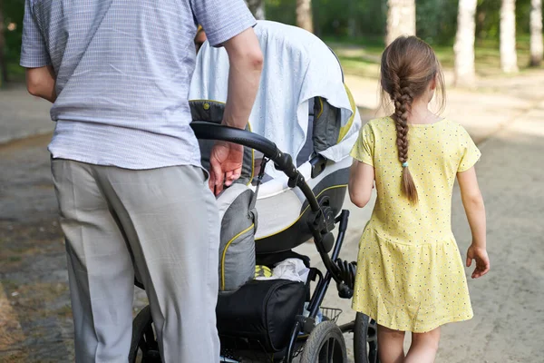 Ein Mann mit Kinderwagen und einem älteren Kind geht in einem Sommerpark spazieren. Das Konzept des Vatertags, eine ruhige familiäre Atmosphäre bei einem Spaziergang. lizenzfreie Stockbilder