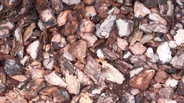 Arka planda ezilmiş ağaç kabuğu dokusu. Ezilmiş kahverengi ağaç kabuğu süs için. Toprağı öğütüyor. Dekoratif bahçe.