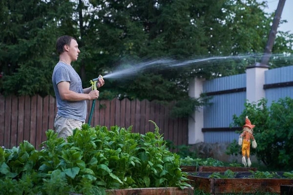 Gündüz vakti su püskürtmek. Bir adam bahçedeki bitkileri demir bir çitin arka planına karşı suluyor. Bahçıvanlık ve hobi kavramı — Stok fotoğraf