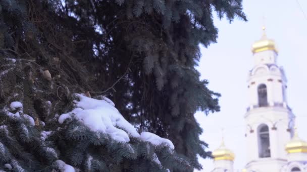 Pozlacená horní část pravoslavného křesťanského kostela, na pozadí modré oblohy a zasněžených jedlových větví. Vánoční pozadí. Mezera pro kopírování. — Stock video