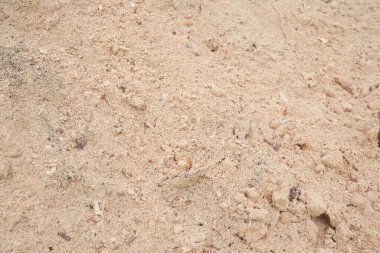 Kaydırağa talaş yığılmış. Arka plan doğal talaştan yapılmış. Atölyedeki ahşap atıkların geri dönüşümü.