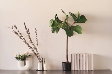 Vazo ve saksılarda üç bitkiden oluşan bir kompozisyon. İç dizaynda çiçekler. Konforlu ev.