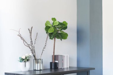 Vazolarla, kurumuş çiçeklerle, kitaplarla ve yeşil yapraklı lire şeklindeki bitkilerle kompozisyon. Evin bir parçası, evde mükemmel bir düzen var..