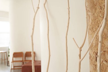 Beyaz arka planda soyulmuş ahşap. Çıplak, kuru ağaç dalları. Modern iç tasarım