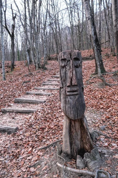 Cara feita de madeira. Um caminho em uma pitoresca floresta de outono. Actividades ao ar livre. — Fotografia de Stock