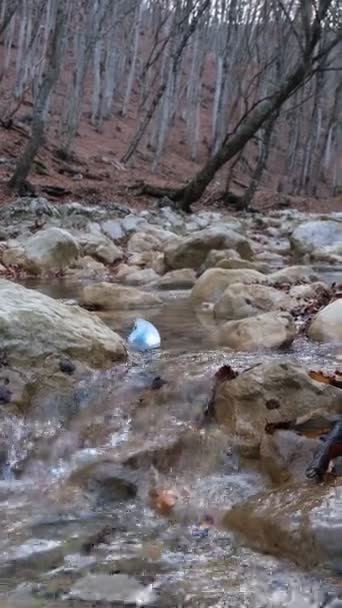 コロナウイルスの後に汚染された水と川。川の医療用マスク. — ストック動画