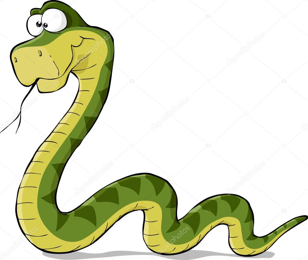  Cartoon  snake   Stock Vector  dedMazay 13907142