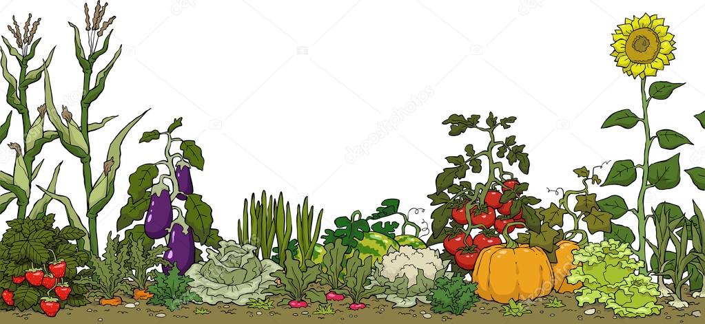 Easy Vegetable Garden Drawing / How To Make A Vegetable Patch Bbc