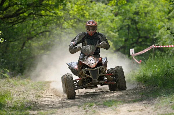 Quad two — Stock Photo, Image