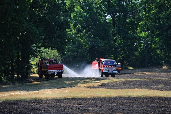 Fire field — Stock Photo, Image