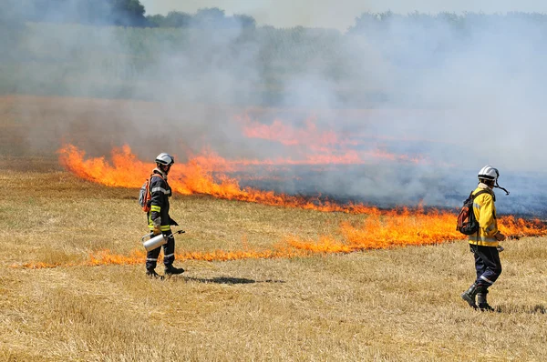 Brand fältet tre — Stockfoto