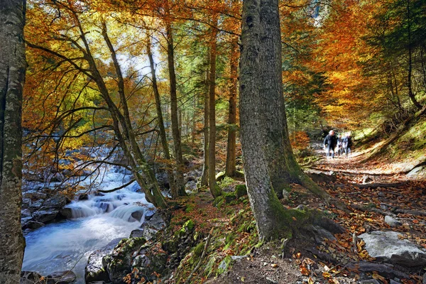 A piedi — Foto Stock