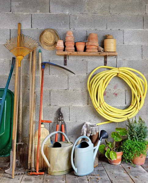 Shed garden — Stock Photo, Image