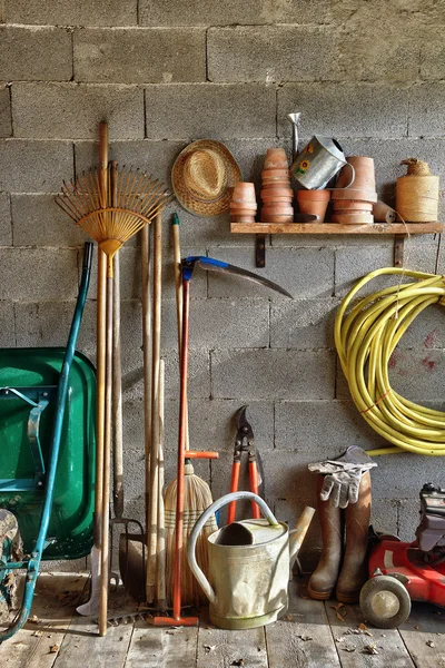 Shed garden fem — Stockfoto