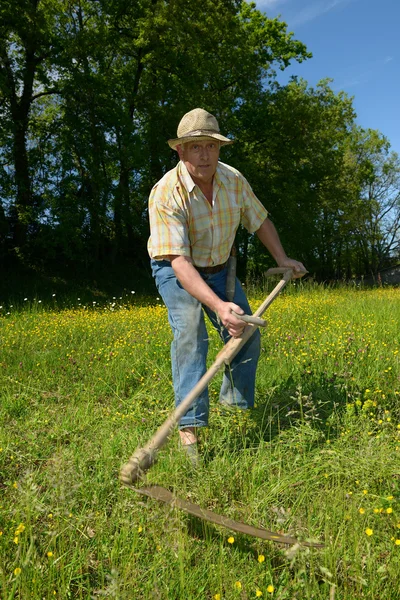草を刈る — ストック写真
