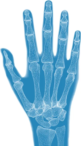 Anatomie der blauen Hand — Stockfoto