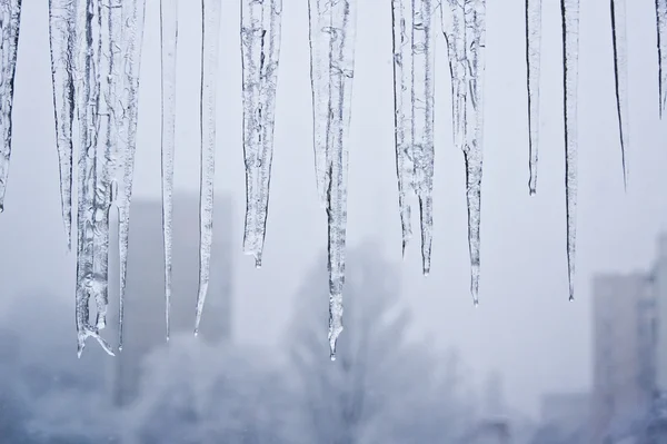 Buz sarkıtları buz — Stok fotoğraf