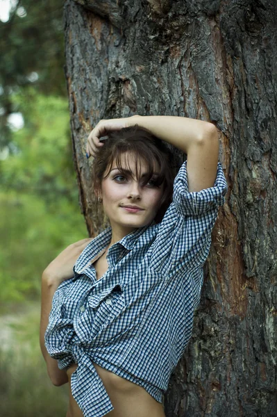 Meisje poseren in de naaldhout bos — Stockfoto