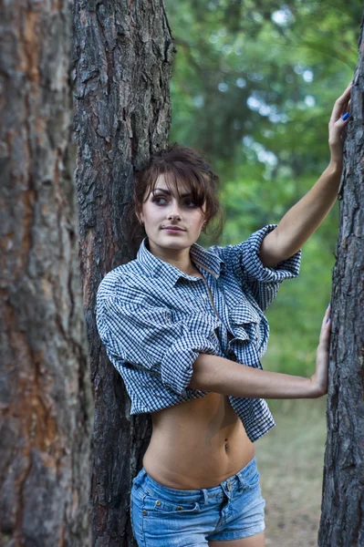 在针叶树森林构成的女孩 — 图库照片