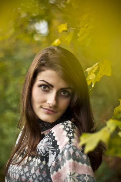 Chica posando en el bosque en otoño —  Fotos de Stock