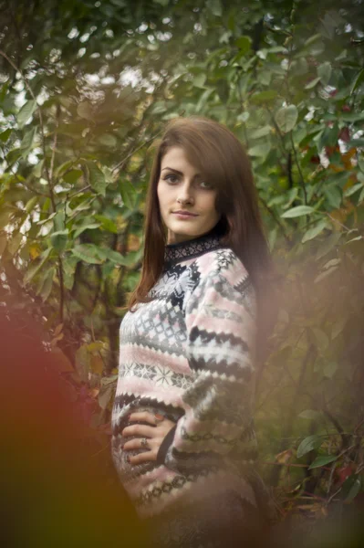 秋の森のポーズの女の子 — ストック写真