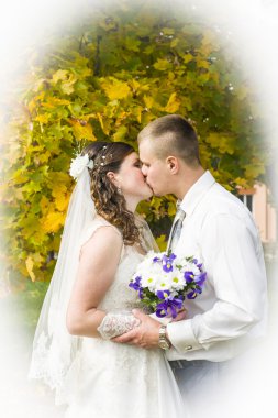 damat ve gelin sonbahar park öpüşme içinde yürüyüş