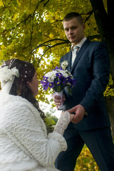 Bridal couple walks in autumn — Stock Photo, Image