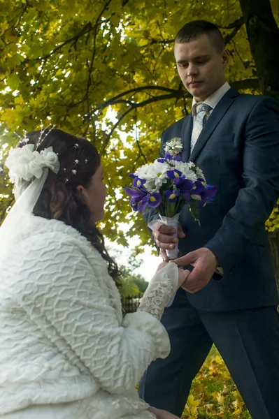 Bridal couple walks in autumn — Stock Photo, Image