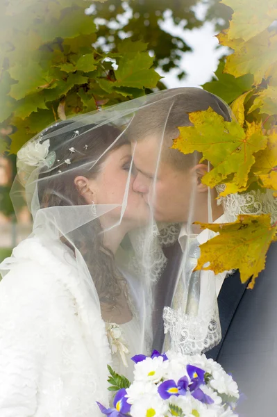 De bruidegom en de bruid op wandeling in de herfst park kussen — Stockfoto