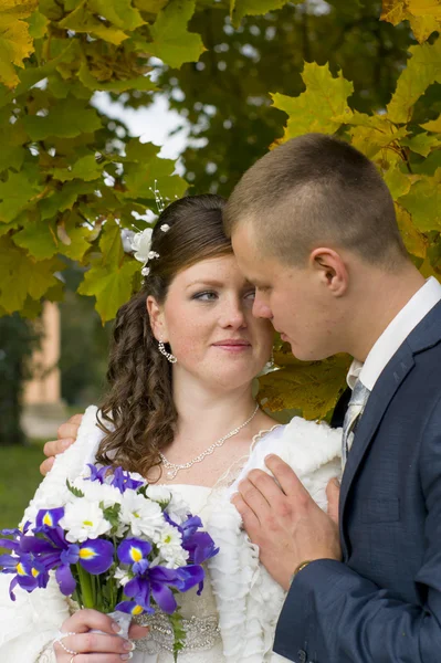 De bruidegom en de bruid op wandeling in de herfst park kussen — Stockfoto
