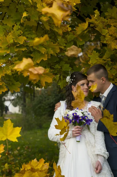 Pareja nupcial camina en otoño —  Fotos de Stock