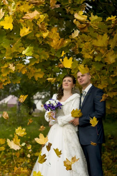 Brudparet promenader i höst — Stockfoto