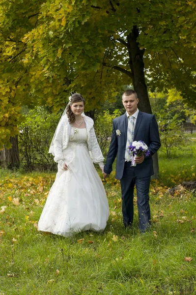 Bridal couple walks in autumn — Stock Photo, Image