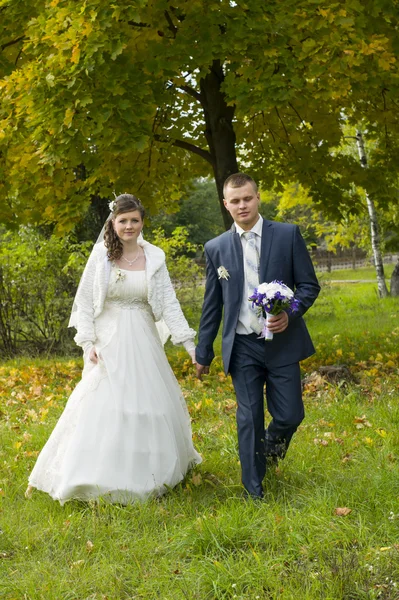 Bridal couple walks in autumn — Stock Photo, Image