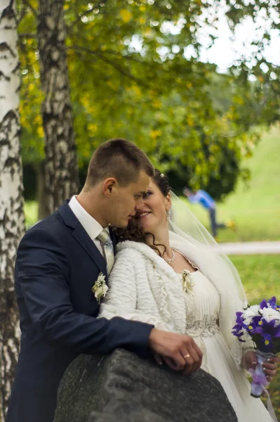 Lo sposo e la sposa a piedi in autunno parco baci — Foto Stock