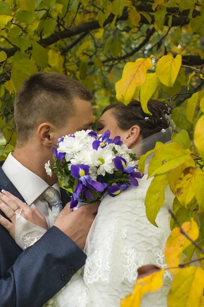 Brudgummen och bruden på promenad i höst park kyssar — Stockfoto