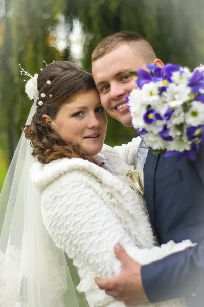 The groom and the bride on walk in autumn park kissing — Stock Photo, Image