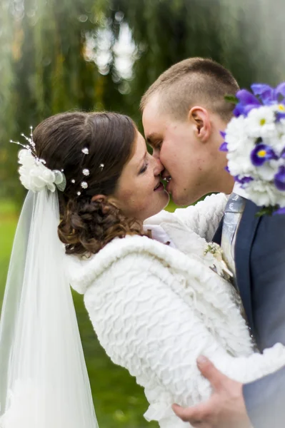 The groom and the bride on walk in autumn park kissing — Stock Photo, Image