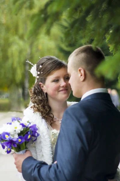 The groom and the bride on walk in autumn park kissing — Stock Photo, Image